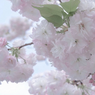 楚雄FurryQQ群介绍